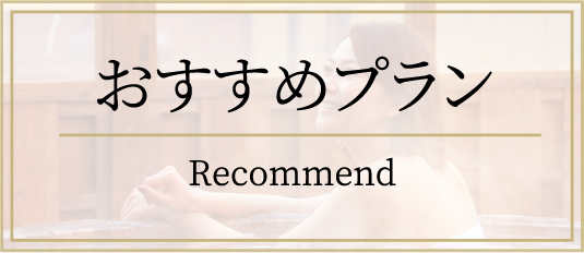 おすすめプラン